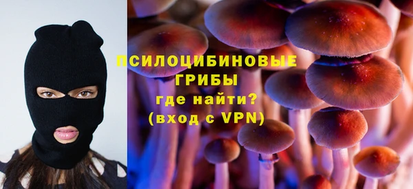 альфа пвп Медвежьегорск