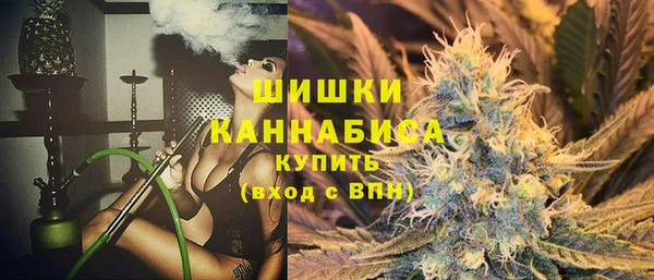 альфа пвп Медвежьегорск