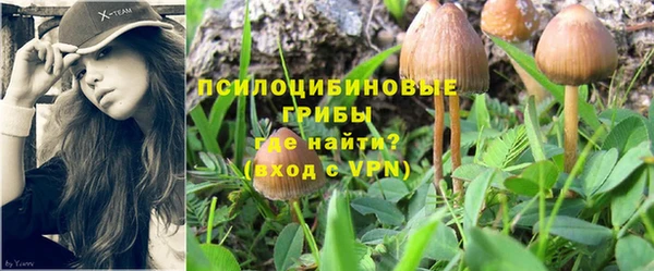 эйфоретик Мегион