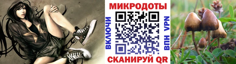 Псилоцибиновые грибы Psilocybine cubensis Купить закладки Кудымкар